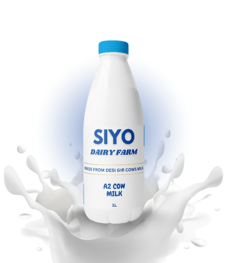 A2 Desi gir cow milk